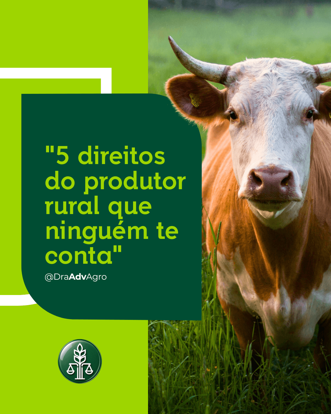 O contrato que todo produtor assina sem ler e que pode custar caro