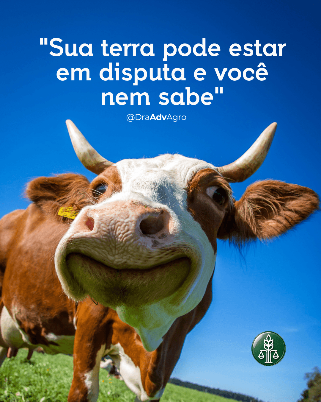 5 direitos do produtor rural que ninguém te conta